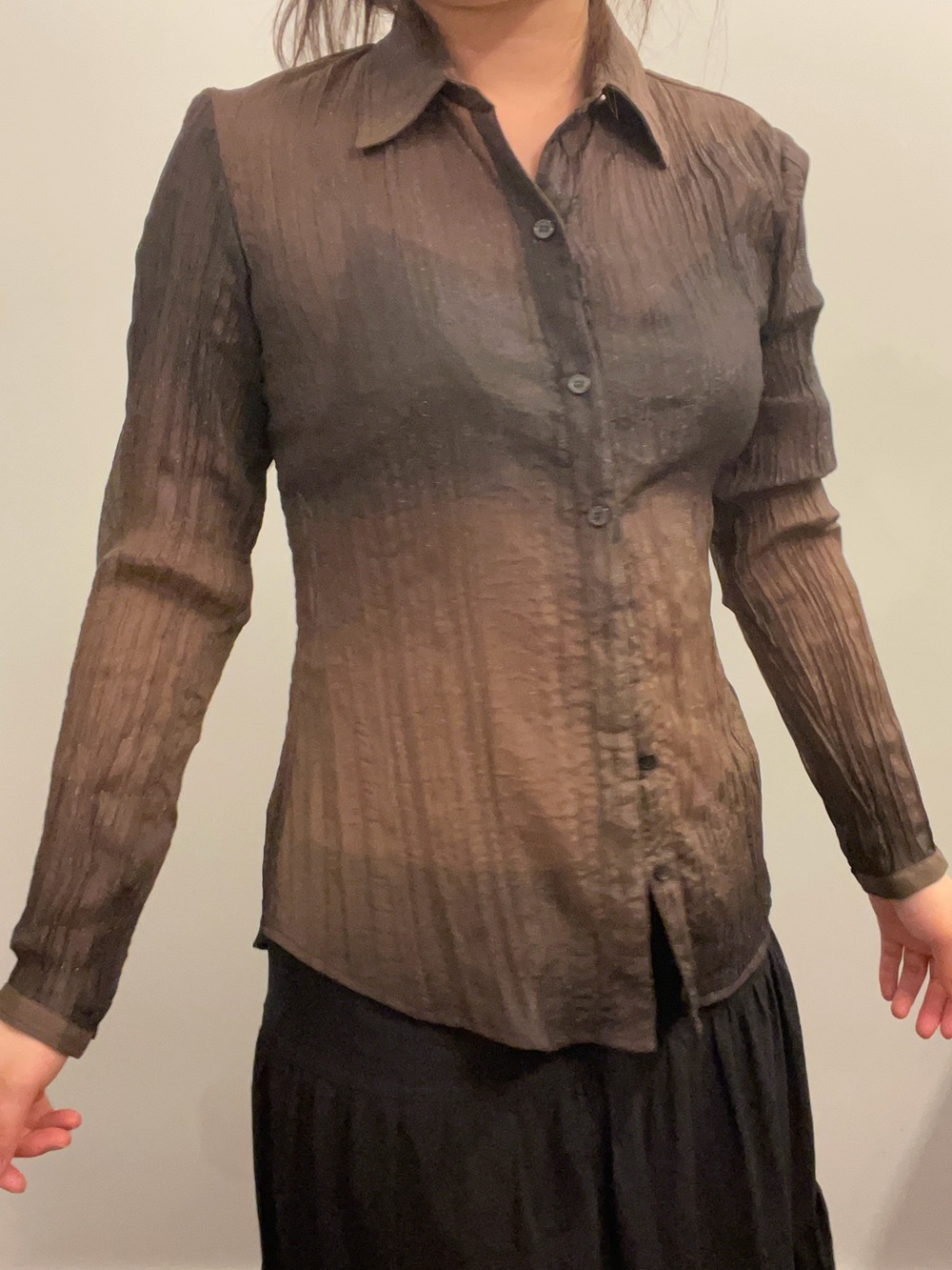 Coldwater Creek Brown Sheer Button-Down Blouse